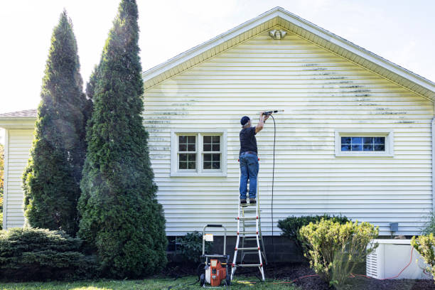 Solar Panel Cleaning in Morton, IL